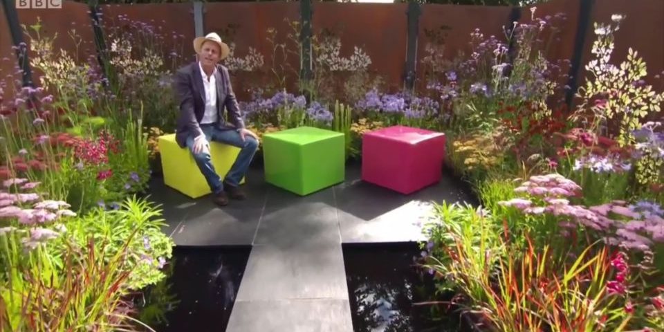 Colour Box design is winning awards using pond dye at Hampton Court 2017