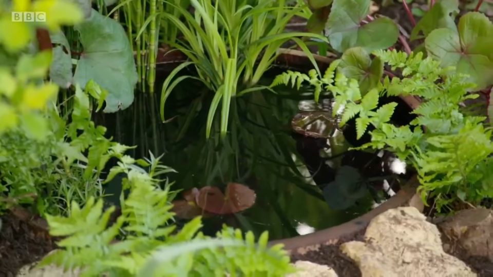 BBC Gardener’s World uses our pond colour when showing viewers how to make a pond