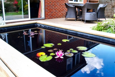 A small pond treated with Dyofix Pond Black for a dramatic affect