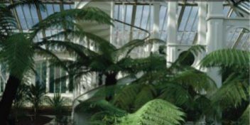 Kew Gardens successfully controlled algae with Dyofix