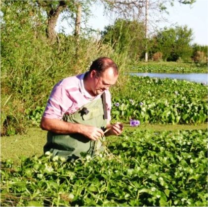 Dr J Newman at work in the field
