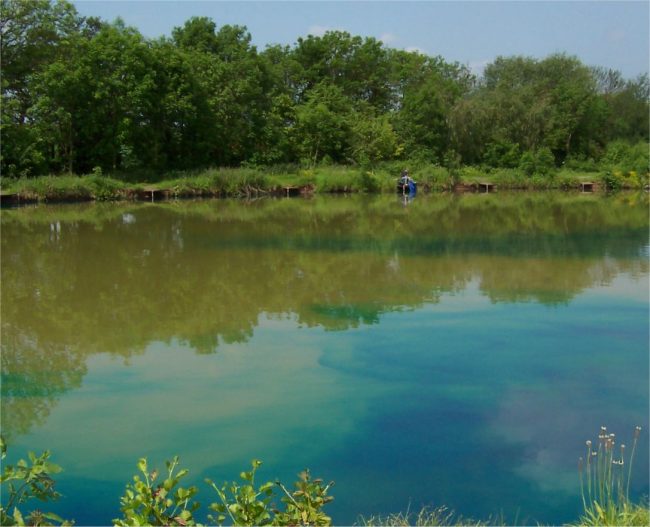Pond Blue dye for lakes is slowly dispersing in a fishing lake