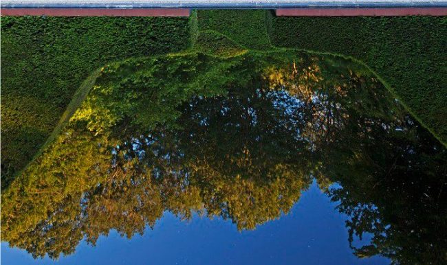 Anne Wareham has created a beautiful reflecting pool for visitors to enjoy at Veddw House