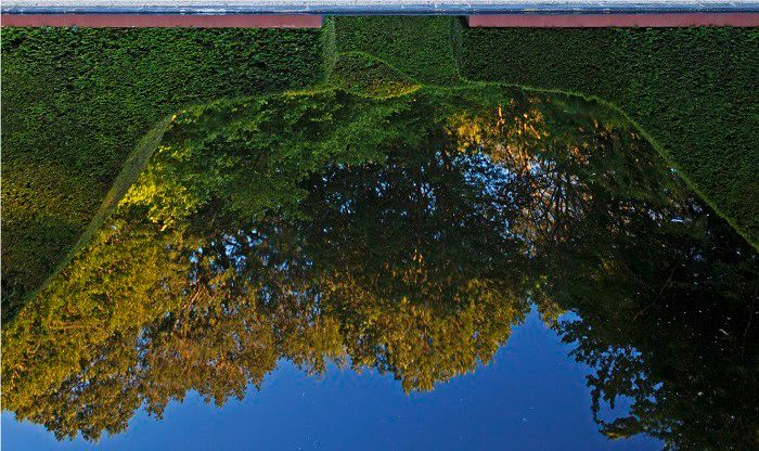 Anne Wareham has created a beautiful reflecting pool for visitors to enjoy at Veddw House