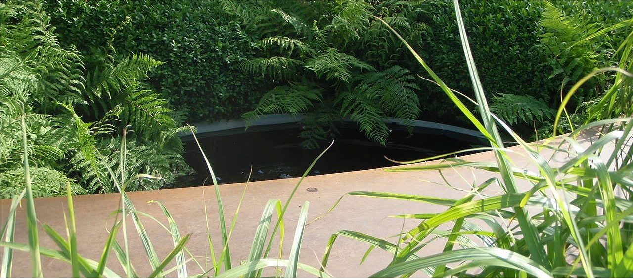 Controlling algae after creating a garden water feature