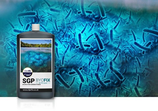 Byofix liquid for small garden ponds