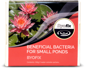 Byofix box