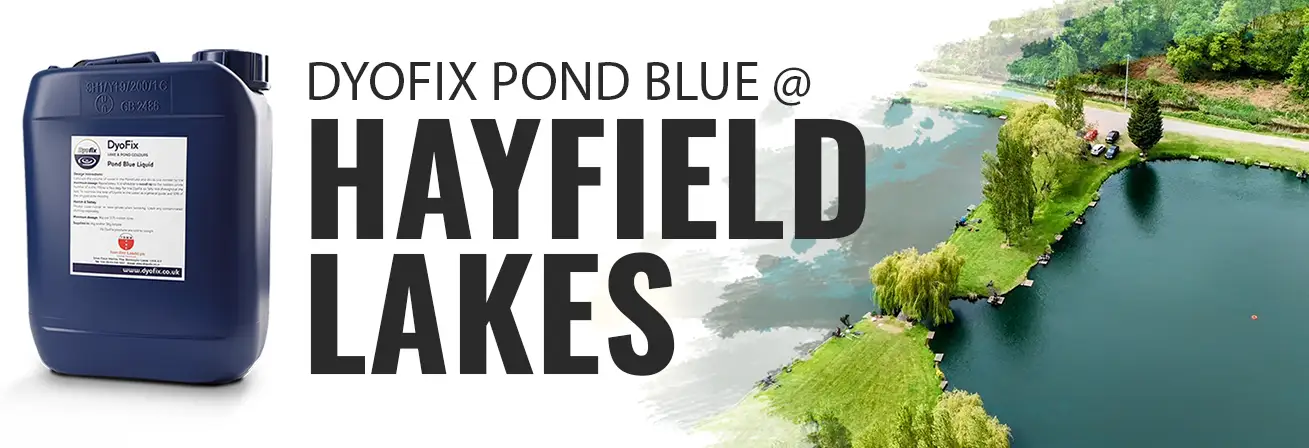 Dyofix Pond blue at Hayfield Lake